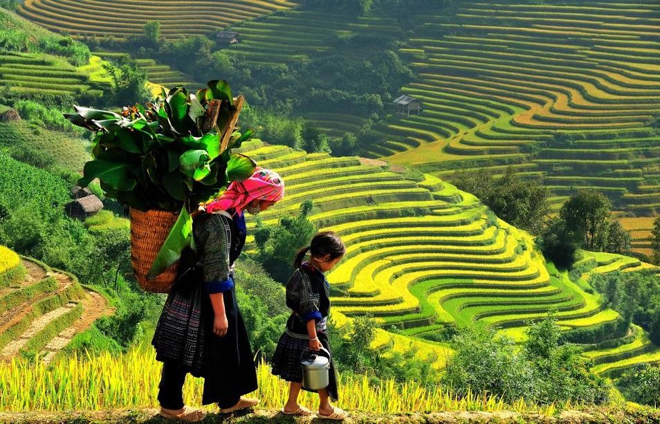 Hometravel Sapa Esterno foto